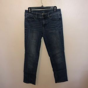 Ann Taylor Jeans